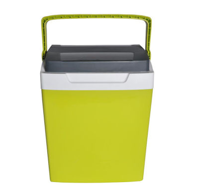 Icepeak Kamp Buzluk Icecase 30Lt Yeşil - 1
